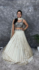 Nari Nirvana Lehenga